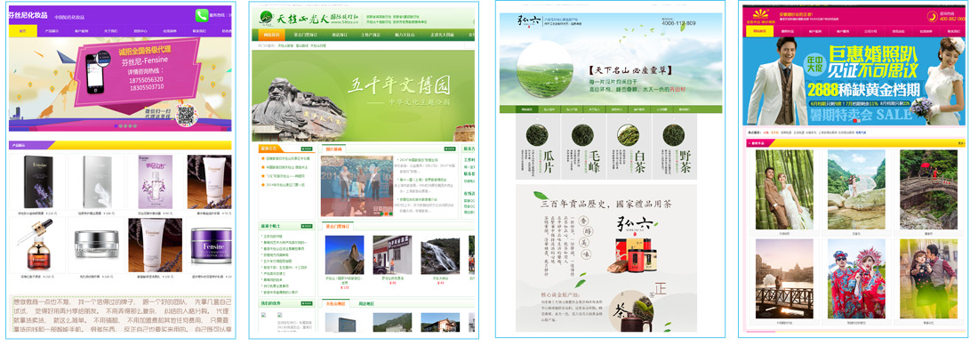 他們選擇了營銷型網站